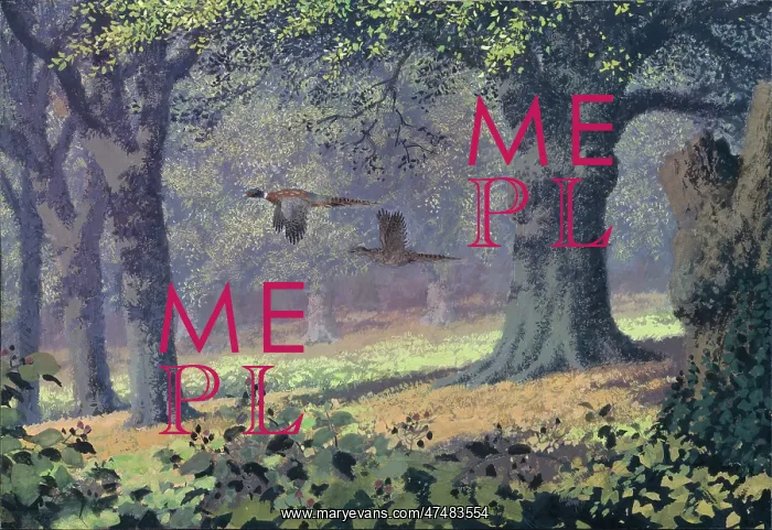 : Pheasants flying underneath Oak Trees : Pheasants flying underneath Oak Trees