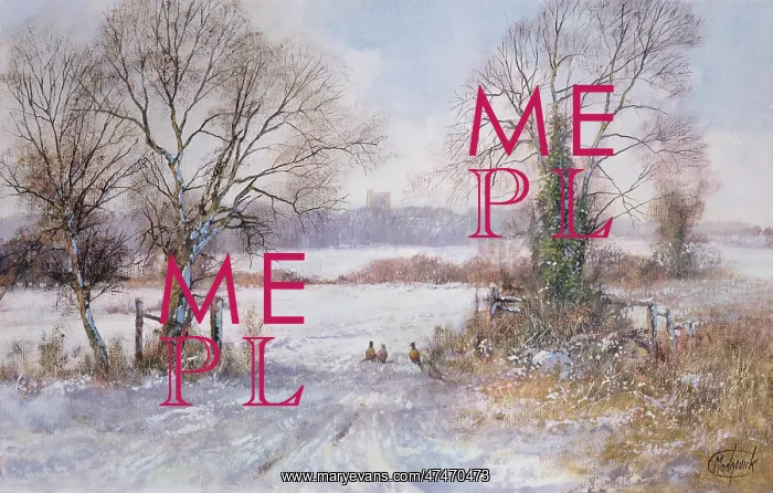 : Pheasants in the Snow : Pheasants in the Snow
