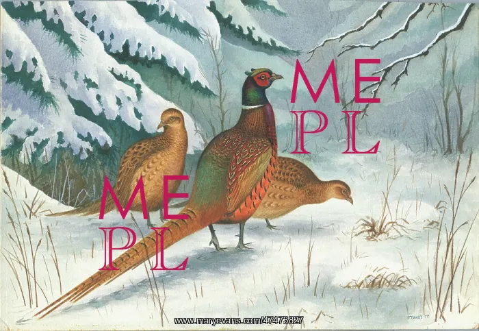  : Three Pheasants in the Snow