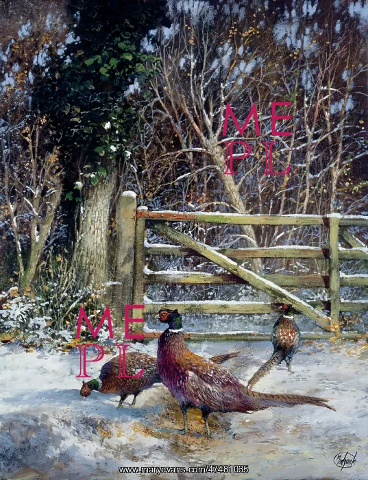 : Pheasants in the Snow