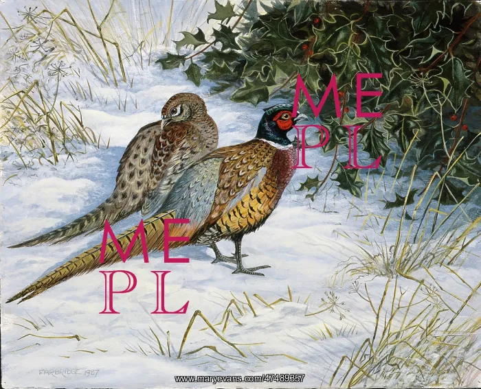: Two Pheasants in the Snow : Two Pheasants in the Snow