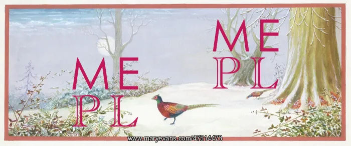  : Two pheasants in the snow