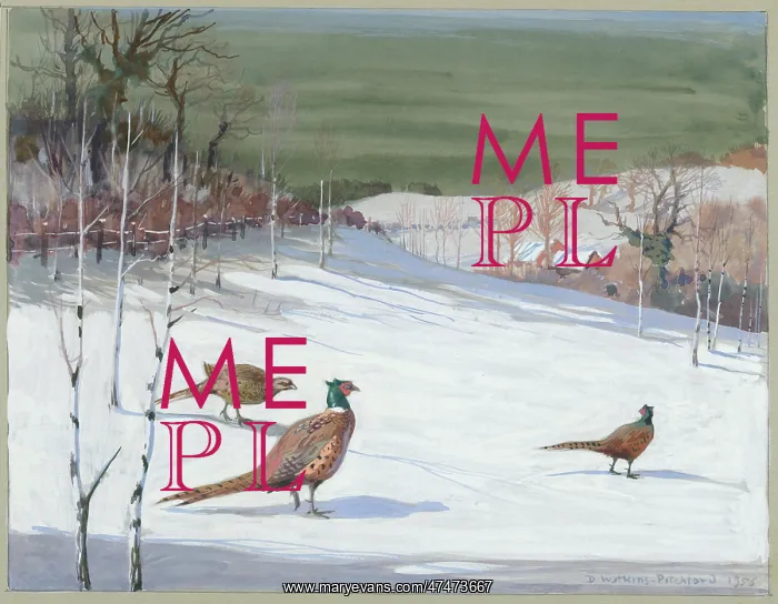  : Three pheasants in a snowy landscape