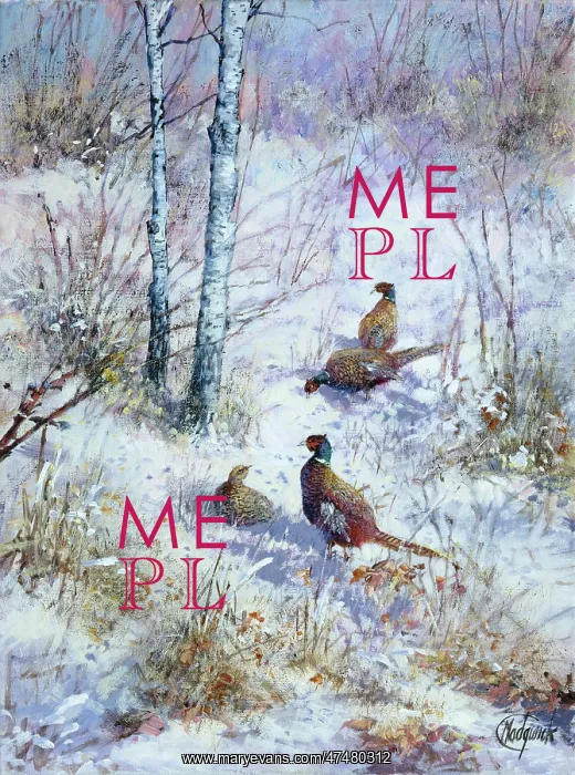 : Pheasants in Winter Landscape : Pheasants in Winter Landscape