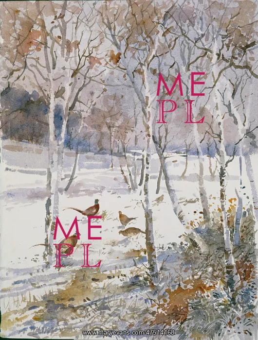 : Pheasants ' in winter with snow and trees : Pheasants ' in winter with snow and trees
