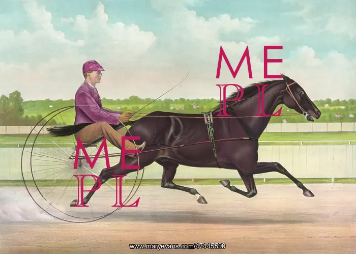 : The phenomenal trotting gelding Jay Eye See, by Dictator, da : The phenomenal trotting gelding Jay Eye See, by Dictator, da