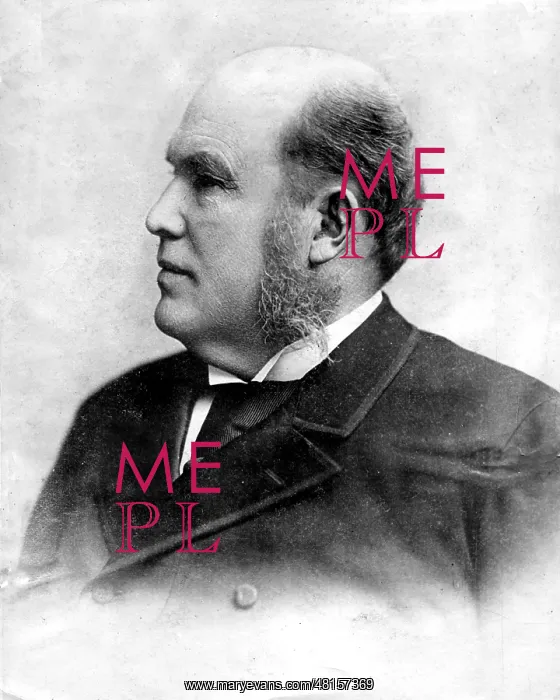 : Philip D. / J. Ogden Armour : Philip D. / J. Ogden Armour