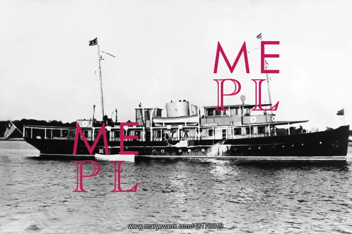 : Philip Musica : Philip Musica