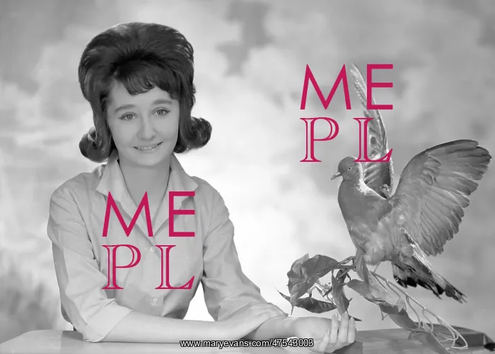  : Philippa Hopwood