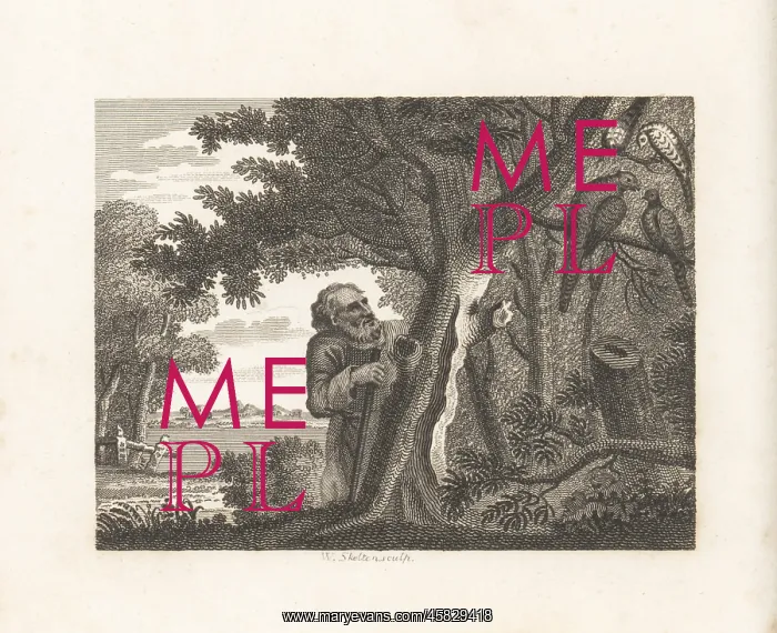  : The Philosopher and the Pheasants