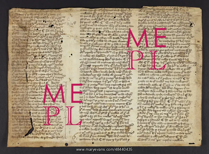 : Philosophical Treatise (Fragment) : Philosophical Treatise (Fragment)