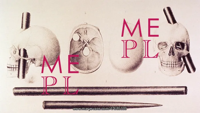: Phineas Gage's skull and iron bar : Phineas Gage's skull and iron bar