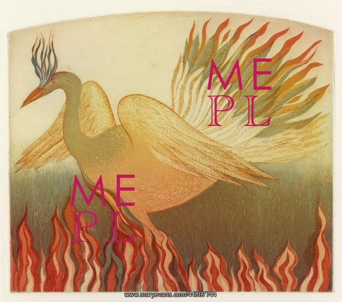  : PHOENIX. Phoenix rising from the flames