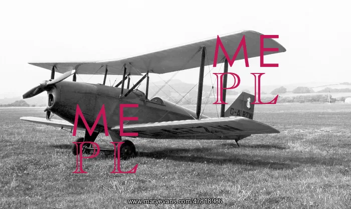 : Phoenix Currie Wot G-ARZW : Phoenix Currie Wot G-ARZW