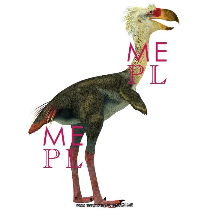 : Phorusrhacos, an extinct genus of flightless predatory birds : Phorusrhacos, an extinct genus of flightless predatory birds