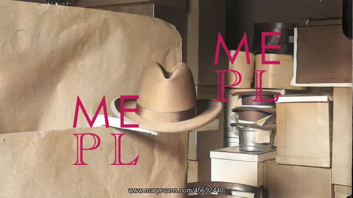  : Photo of hat
