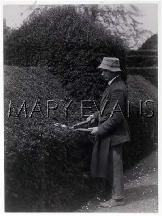  : PHOTO / HEDGE CLIPPING