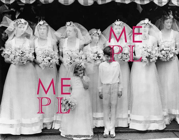 : Photocall of the bridesmaids : Photocall of the bridesmaids