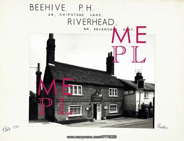 : Photograph of Beehive PH, Riverhead, Kent : Photograph of Beehive PH, Riverhead, Kent