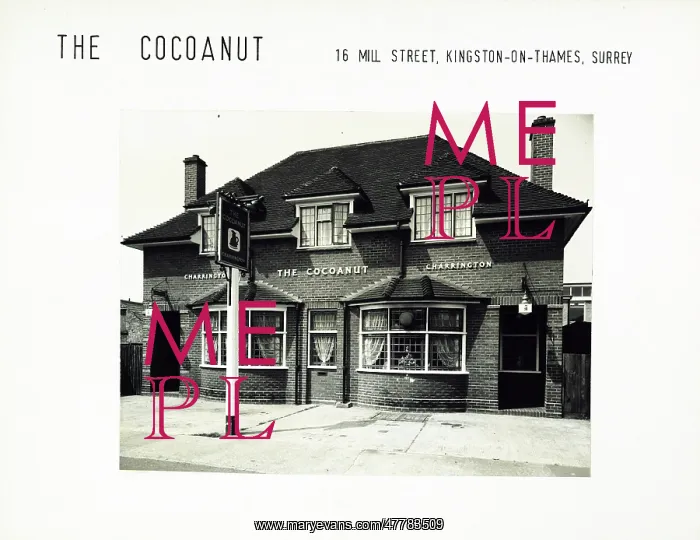 : Photograph of Cocoanut PH, Kingston (New), Surrey : Photograph of Cocoanut PH, Kingston (New), Surrey