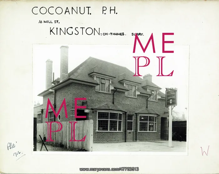 : Photograph of Cocoanut PH, Kingston (New), Surrey : Photograph of Cocoanut PH, Kingston (New), Surrey