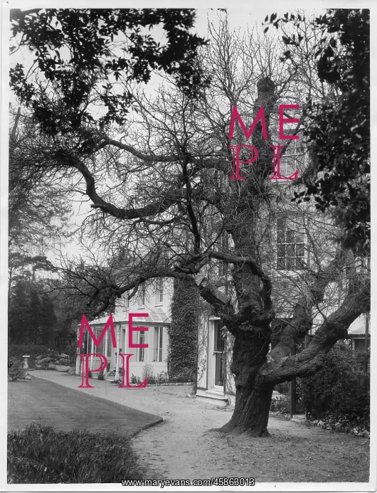 : Photograph of Down House, home of Charles Darwin : Photograph of Down House, home of Charles Darwin