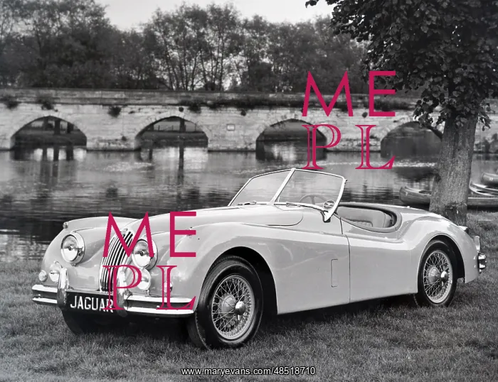 : A photograph of a Jaguar Xk140 : A photograph of a Jaguar Xk140