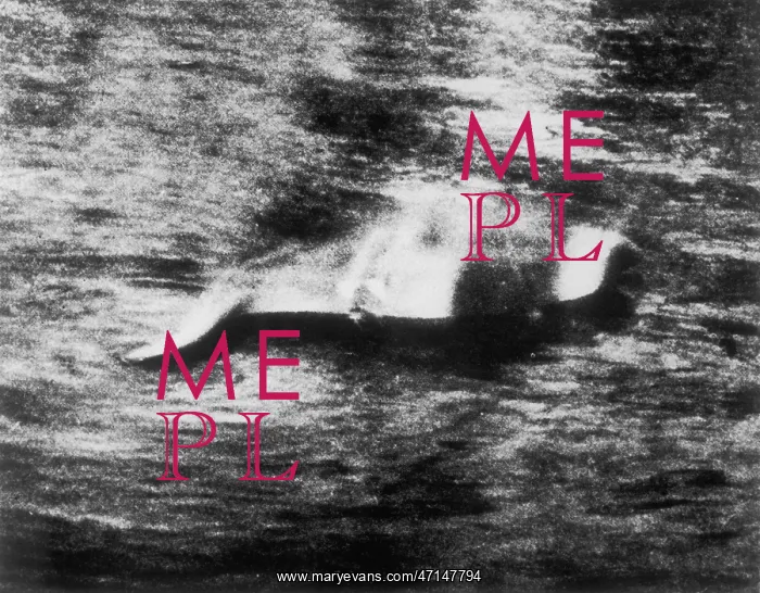 : Photograph of the Loch Ness Monster : Photograph of the Loch Ness Monster