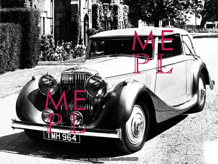 : A photograph of an SS Jaguar 100 : A photograph of an SS Jaguar 100