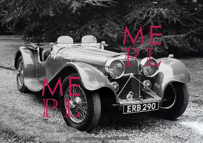 : A photograph of an SS Jaguar 100 : A photograph of an SS Jaguar 100