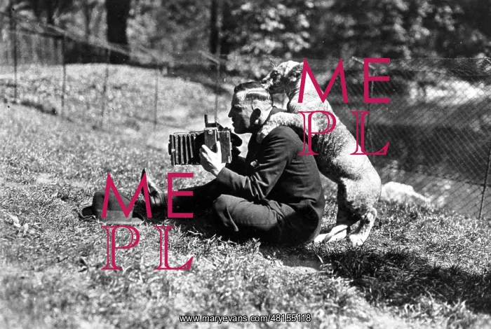 : Photographer in the Berlin Zoo : Photographer in the Berlin Zoo