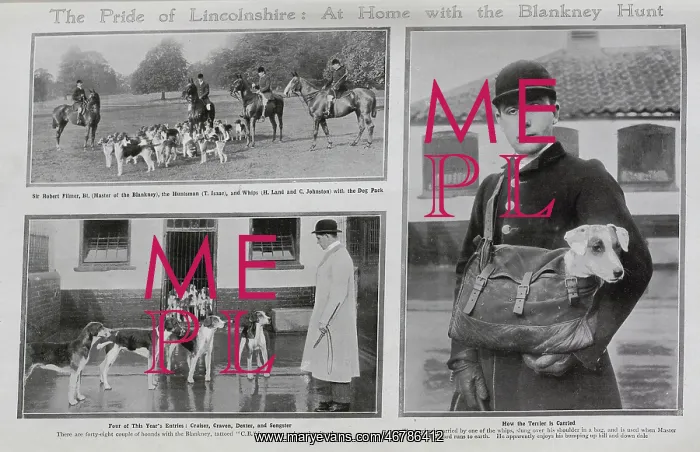 : Photographs of the Blankney Hunt : Photographs of the Blankney Hunt