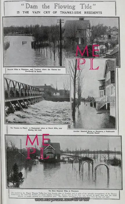 : Photographs of the River Thames flooding : Photographs of the River Thames flooding