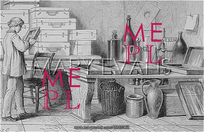 : PHOTOGRAPHY / LABORATORY : PHOTOGRAPHY / LABORATORY