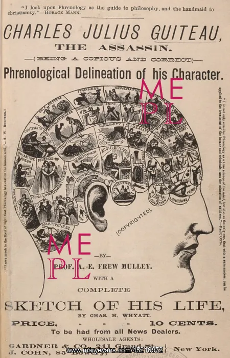 : Phrenological chart of the brain of Guiteau : Phrenological chart of the brain of Guiteau