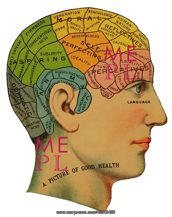 : Phrenological head : Phrenological head
