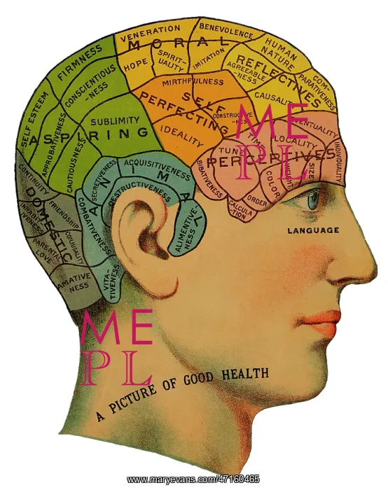 : Phrenological head