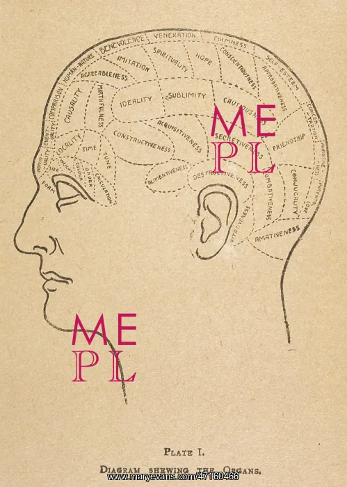  : Phrenological head