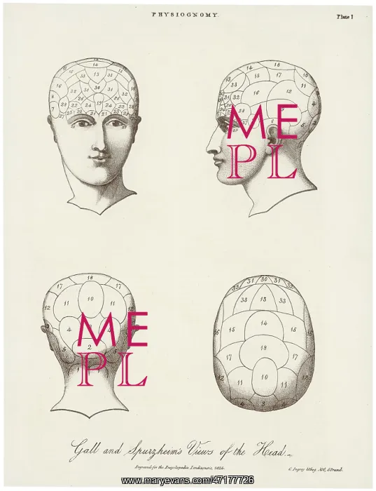  : PHRENOLOGICAL SYSTEMS