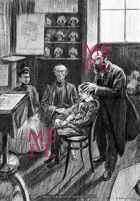 : The Phrenologist : The Phrenologist