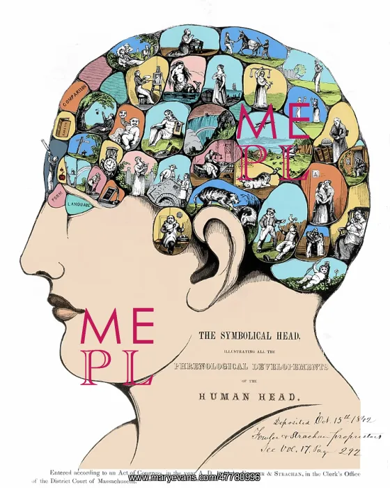 : Phrenology, The Symbolical Head, 1842 : Phrenology, The Symbolical Head, 1842