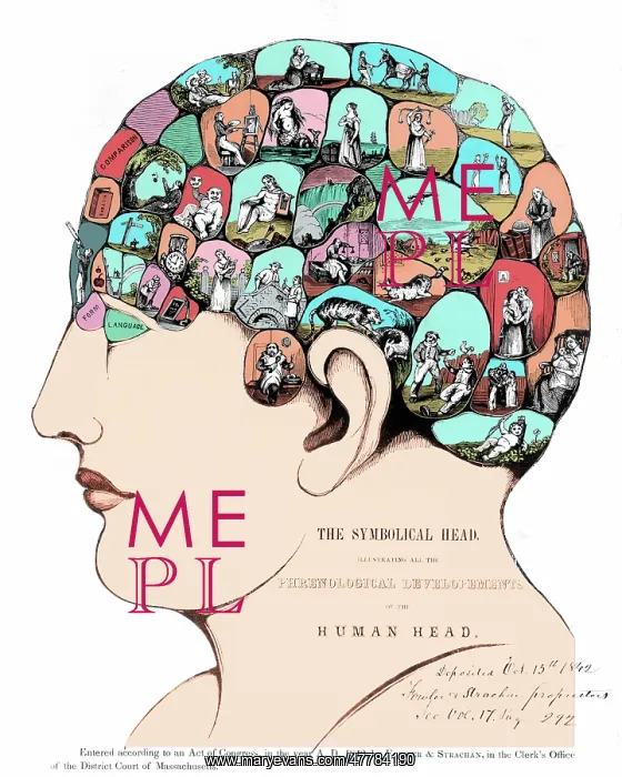 : Phrenology, The Symbolical Head, 1842 : Phrenology, The Symbolical Head, 1842