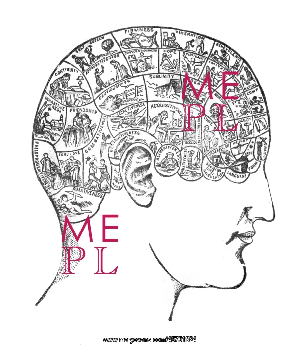 : PHRENOLOGY - TRAITS : PHRENOLOGY - TRAITS