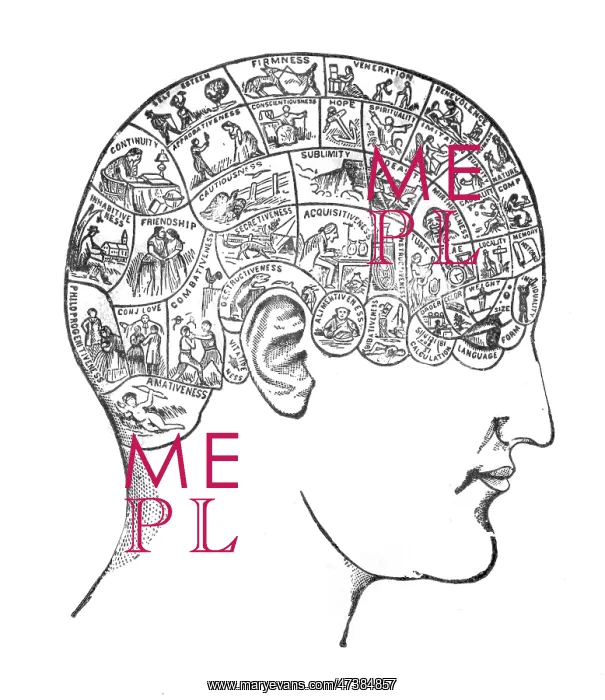 : PHRENOLOGY - TRAITS : PHRENOLOGY - TRAITS