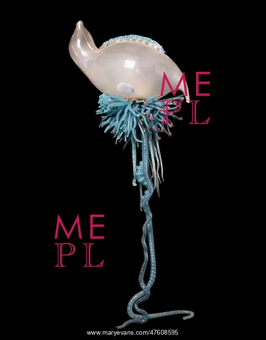 : Physalia pelagica, jellyfish model : Physalia pelagica, jellyfish model