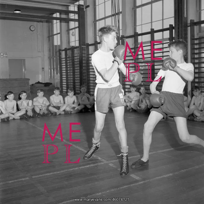 : Physical education, Boxing : Physical education, Boxing