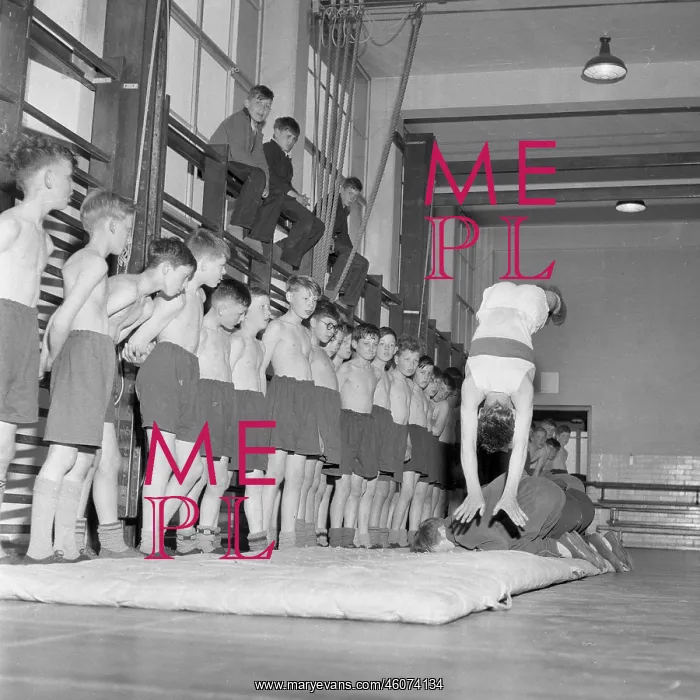 : Physical education, gym : Physical education, gym