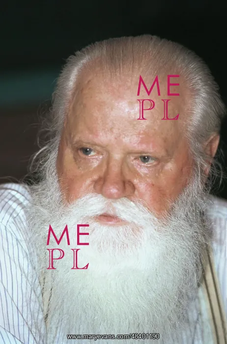 : Physicist Anatoly Logunov, 1999 : Physicist Anatoly Logunov, 1999