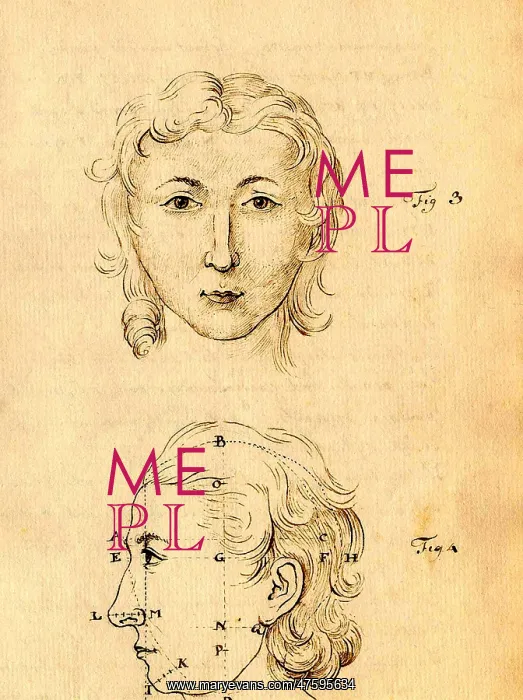 : Physiognomical Illustration of Human Head : Physiognomical Illustration of Human Head