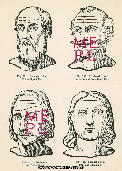 : Physiognomy : Physiognomy